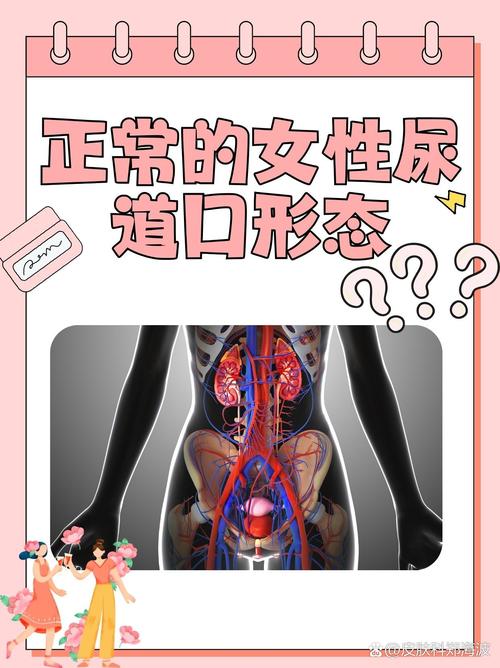 久久亚洲天堂一区的相关介绍